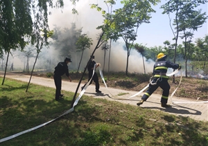 樹(shù)林著(zhù)火現險情  保安急救受贊揚 ——宗保公司駐書(shū)院市容項目隊員