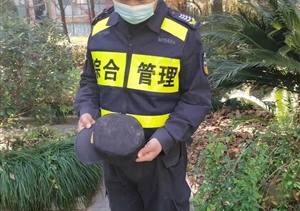 忍辱克制展風(fēng)采 文明規范獲贊揚—閑林城管輔助項目隊員忍辱克制獲